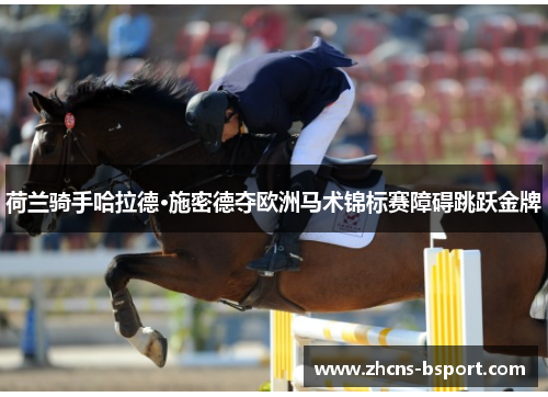 荷兰骑手哈拉德·施密德夺欧洲马术锦标赛障碍跳跃金牌