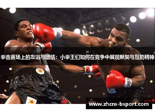 拳击赛场上的友谊与团结：小拳王们如何在竞争中展现默契与互助精神
